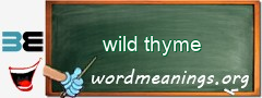 WordMeaning blackboard for wild thyme